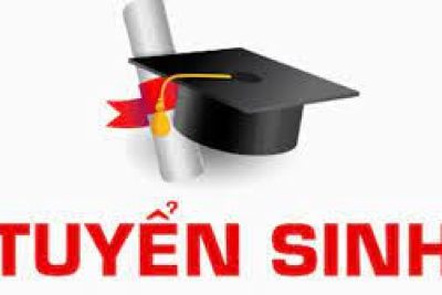 Công văn số 381/SGDĐT-TC Về việc thông báo chỉ tiêu tuyển sinh vào lớp 10 trung học phổ thông công lập trên địa bàn tỉnh Ninh Bình năm học 2026-2027